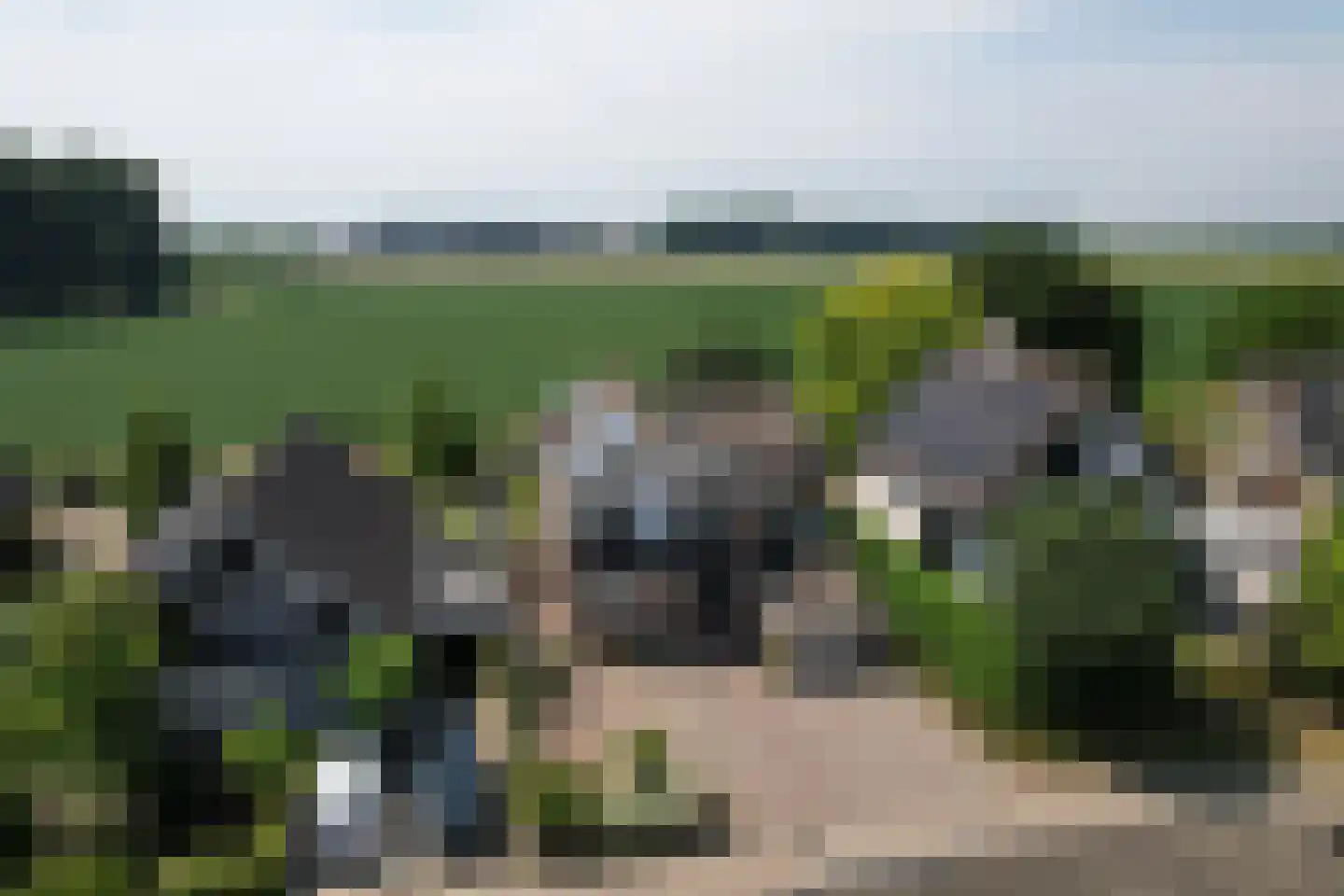 Hazershil 9 Steenbergen thumbnail 72