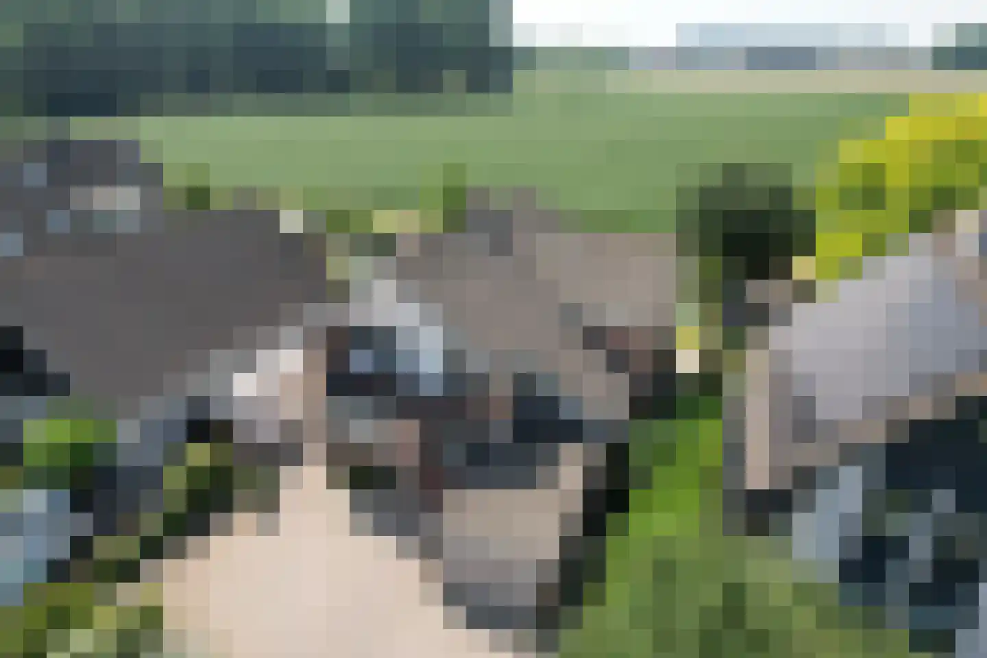 Hazershil 9 Steenbergen thumbnail 73
