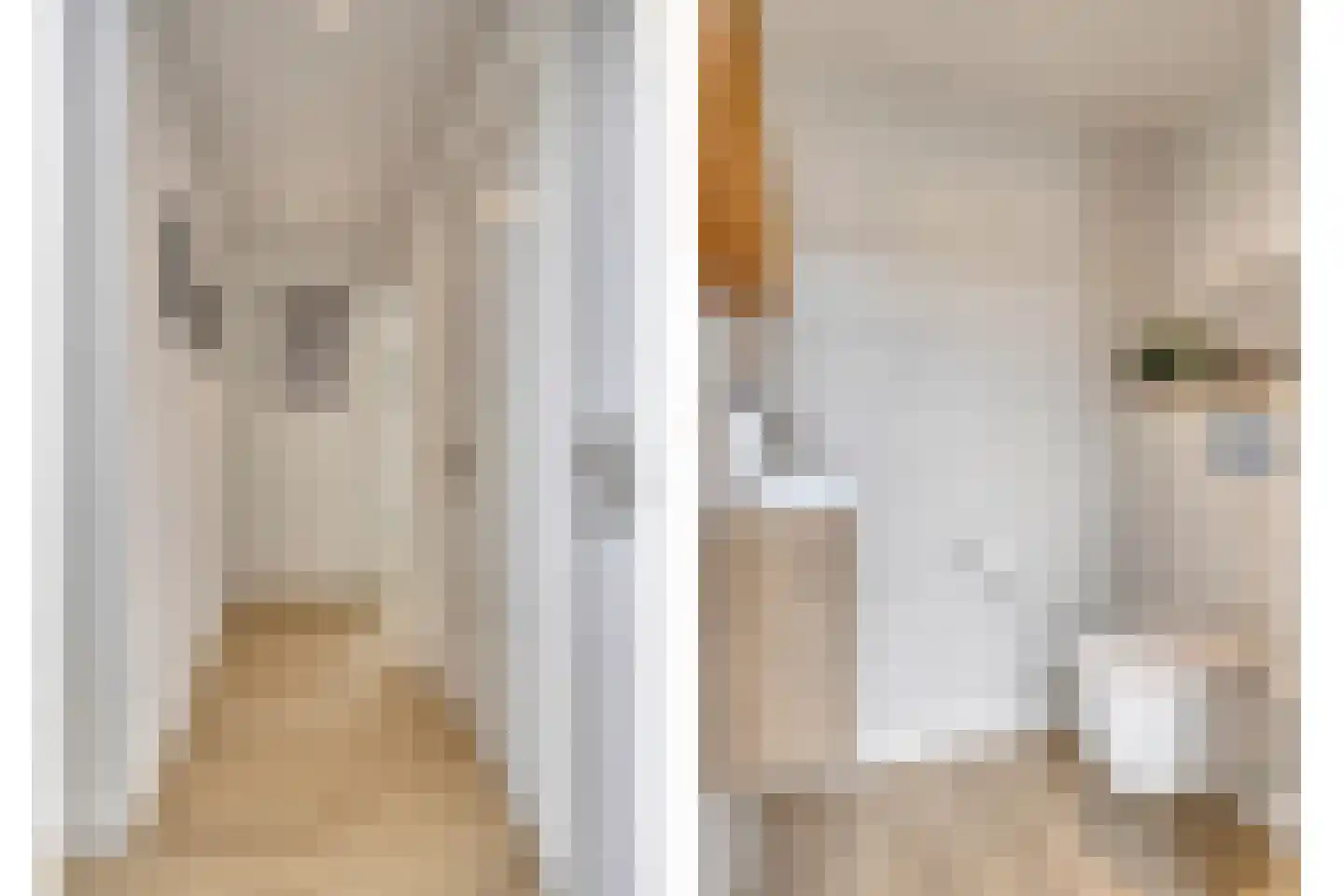 Hazershil 9 Steenbergen thumbnail 8