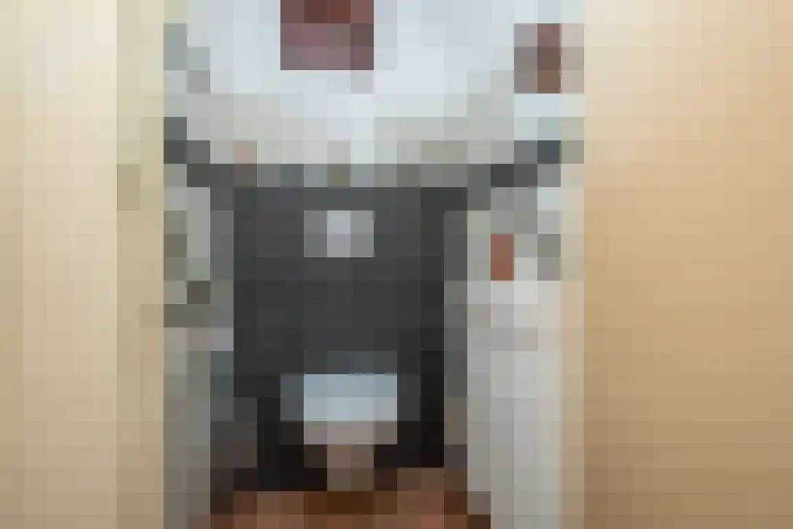 Hazersweg 22 Ouddorp thumbnail 15