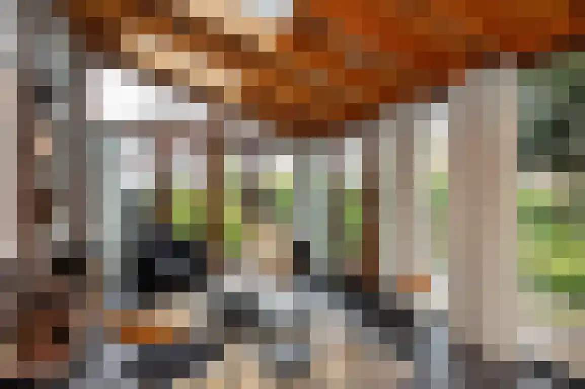 Hazersweg 22 Ouddorp thumbnail 23