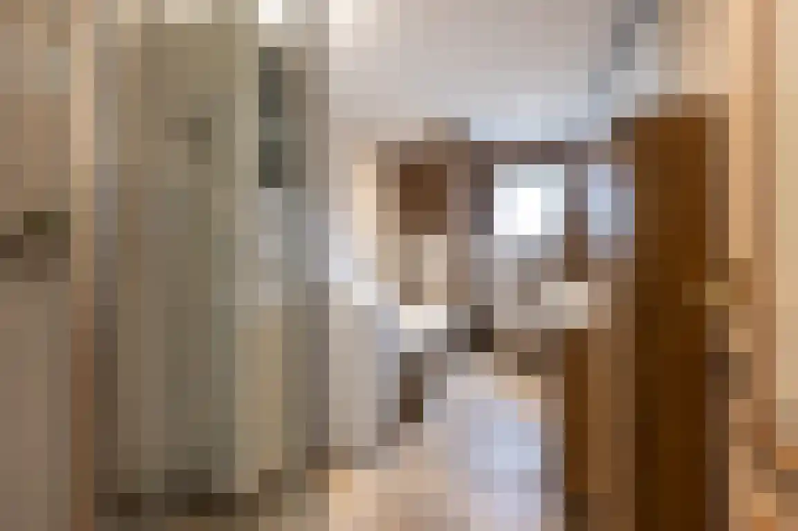 Hazersweg 22 Ouddorp thumbnail 29