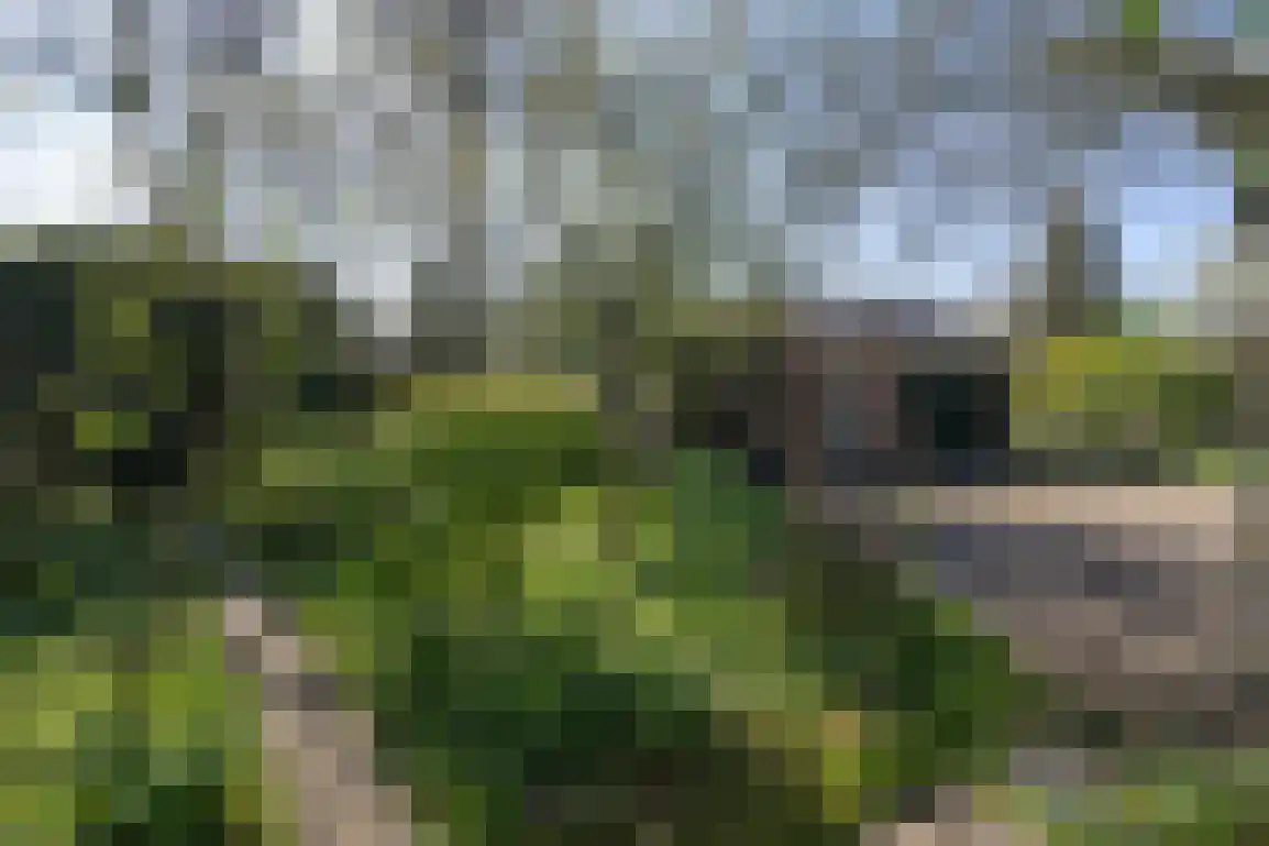 Hazersweg 22 Ouddorp foto 3