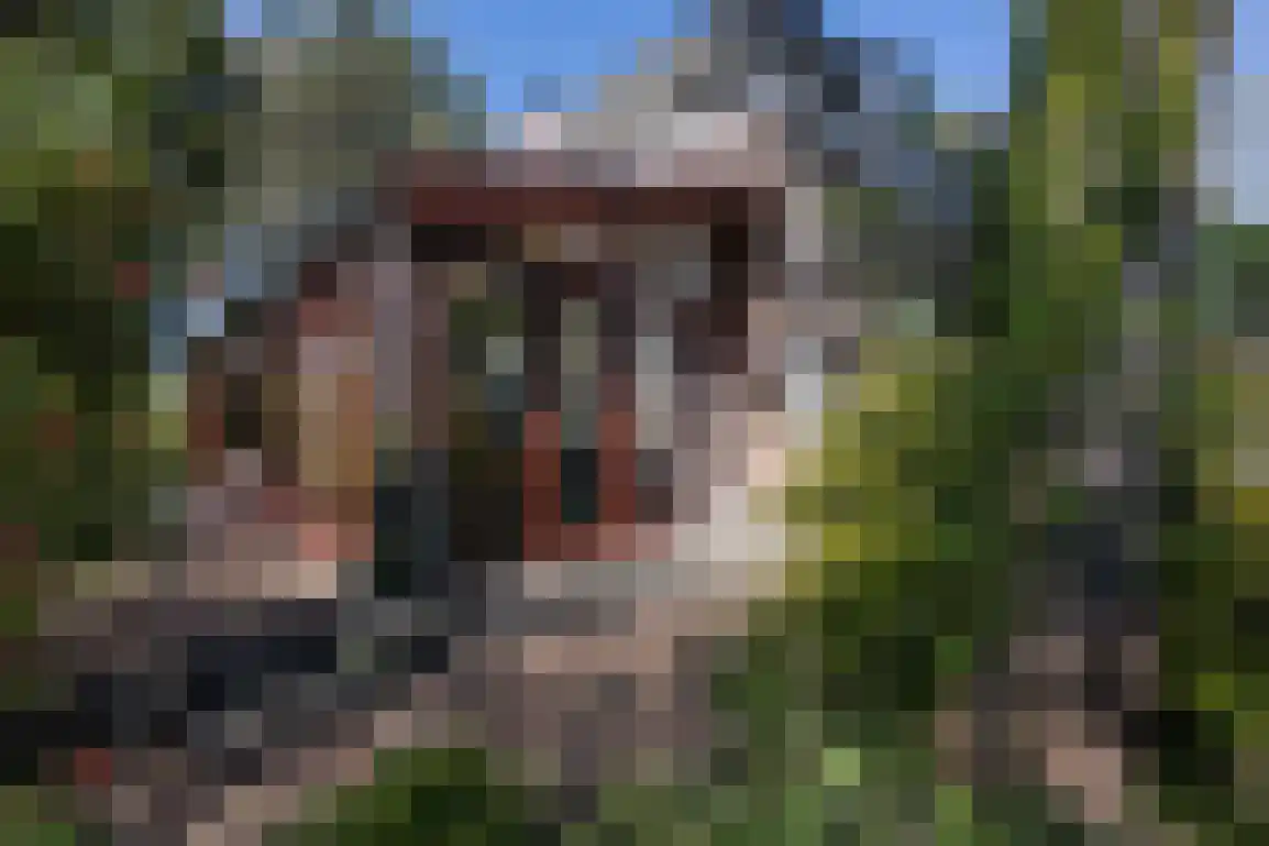 Hazersweg 22 Ouddorp foto 3