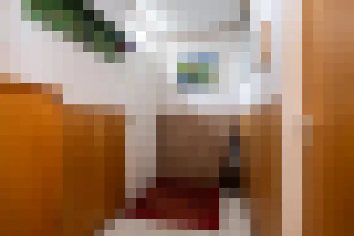Hazersweg 22 Ouddorp thumbnail 31