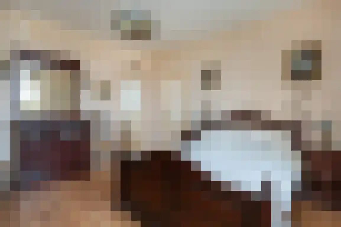 Hazersweg 22 Ouddorp thumbnail 36