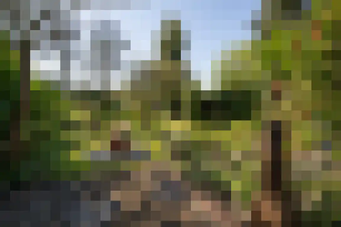 Hazersweg 22 Ouddorp thumbnail 4