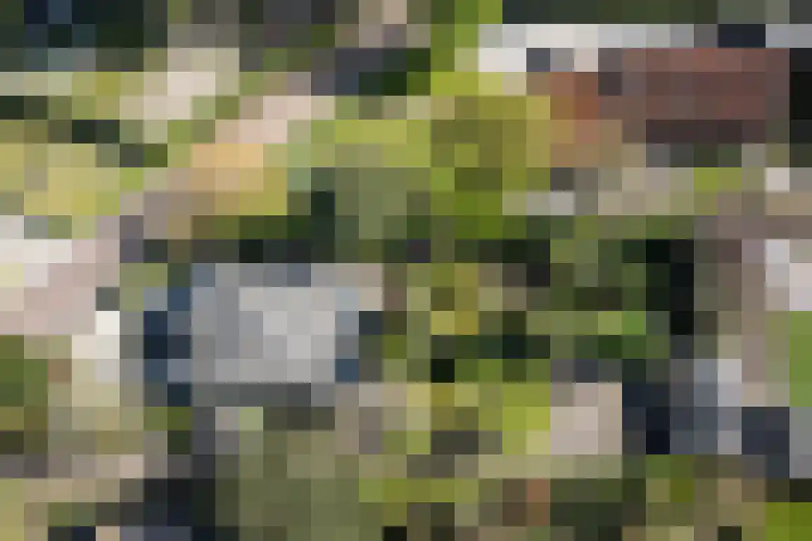 Hazersweg 22 Ouddorp thumbnail 4