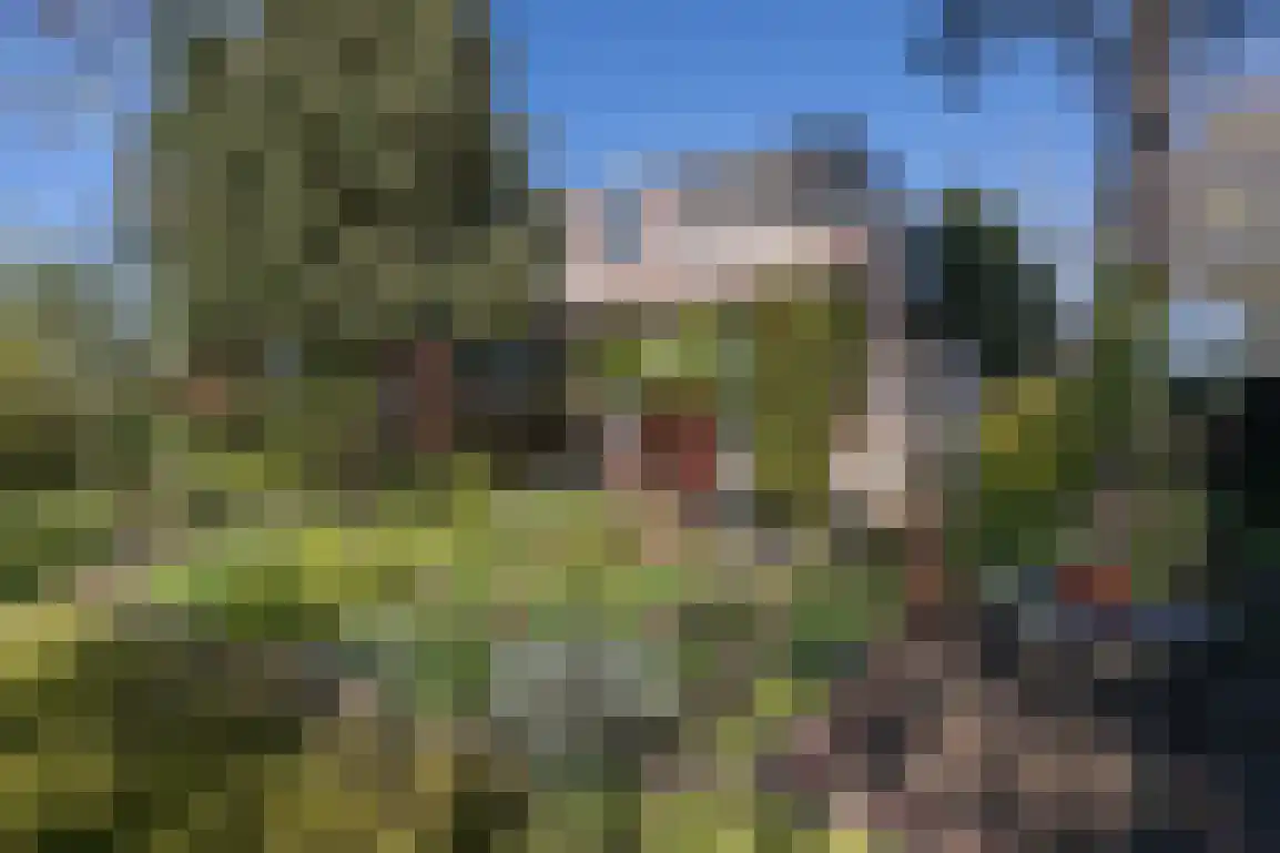 Hazersweg 22 Ouddorp thumbnail 40