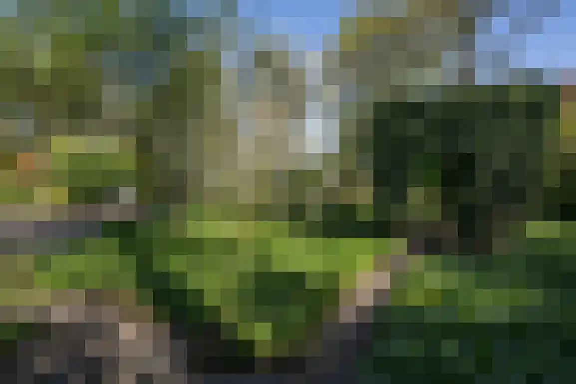 Hazersweg 22 Ouddorp thumbnail 41