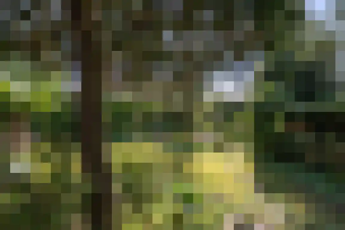 Hazersweg 22 Ouddorp thumbnail 42