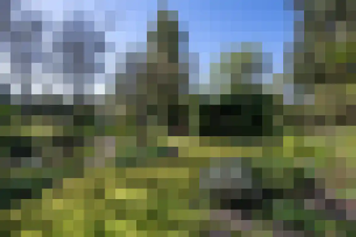 Hazersweg 22 Ouddorp thumbnail 43