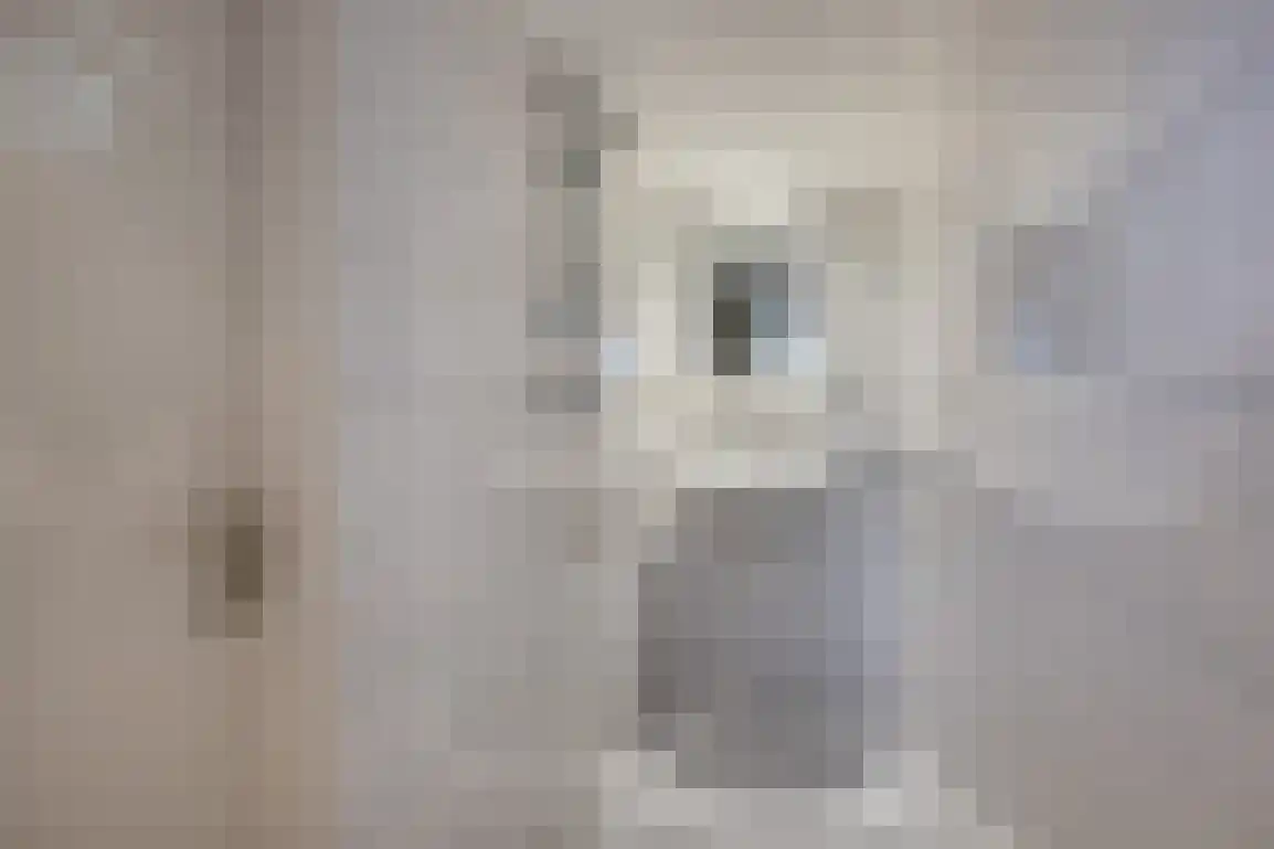 Hazersweg 22 Ouddorp thumbnail 48