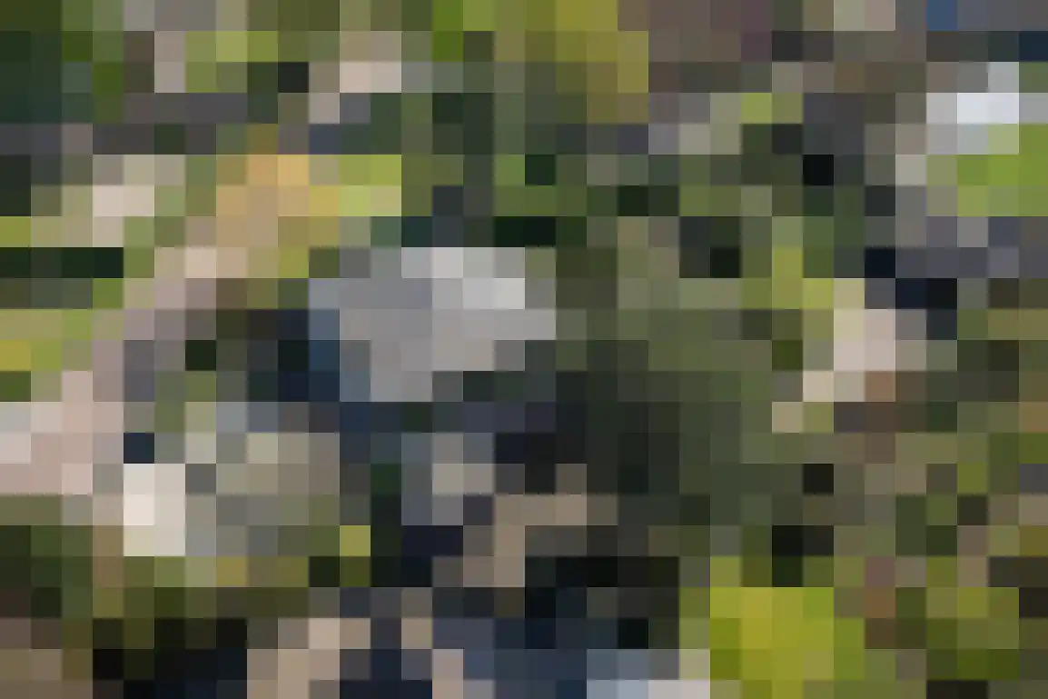 Hazersweg 22 Ouddorp thumbnail 51