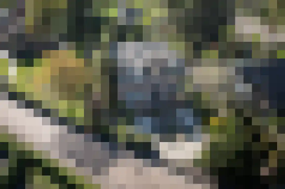Hazersweg 22 Ouddorp thumbnail 52