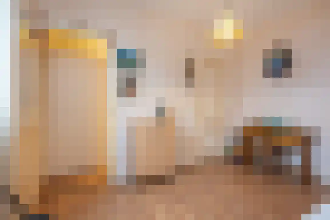 Hazersweg 22 Ouddorp thumbnail 54