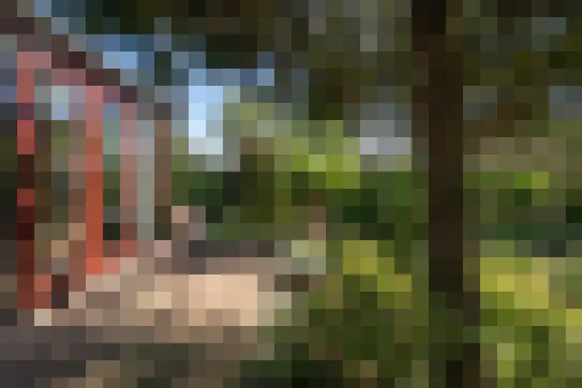 Hazersweg 22 Ouddorp thumbnail 57