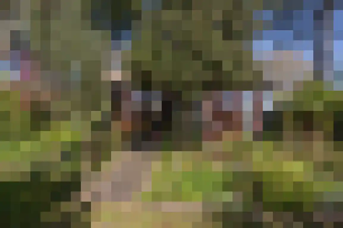 Hazersweg 22 Ouddorp thumbnail 60