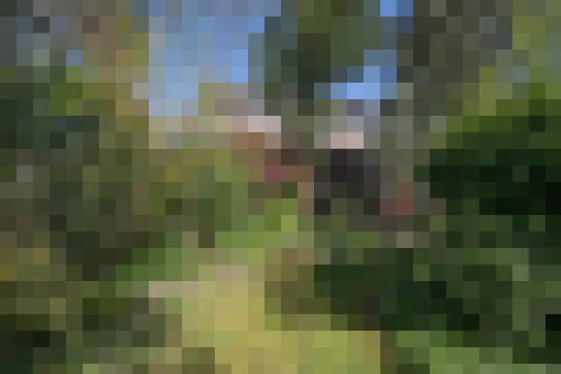 Hazersweg 22 Ouddorp thumbnail 61