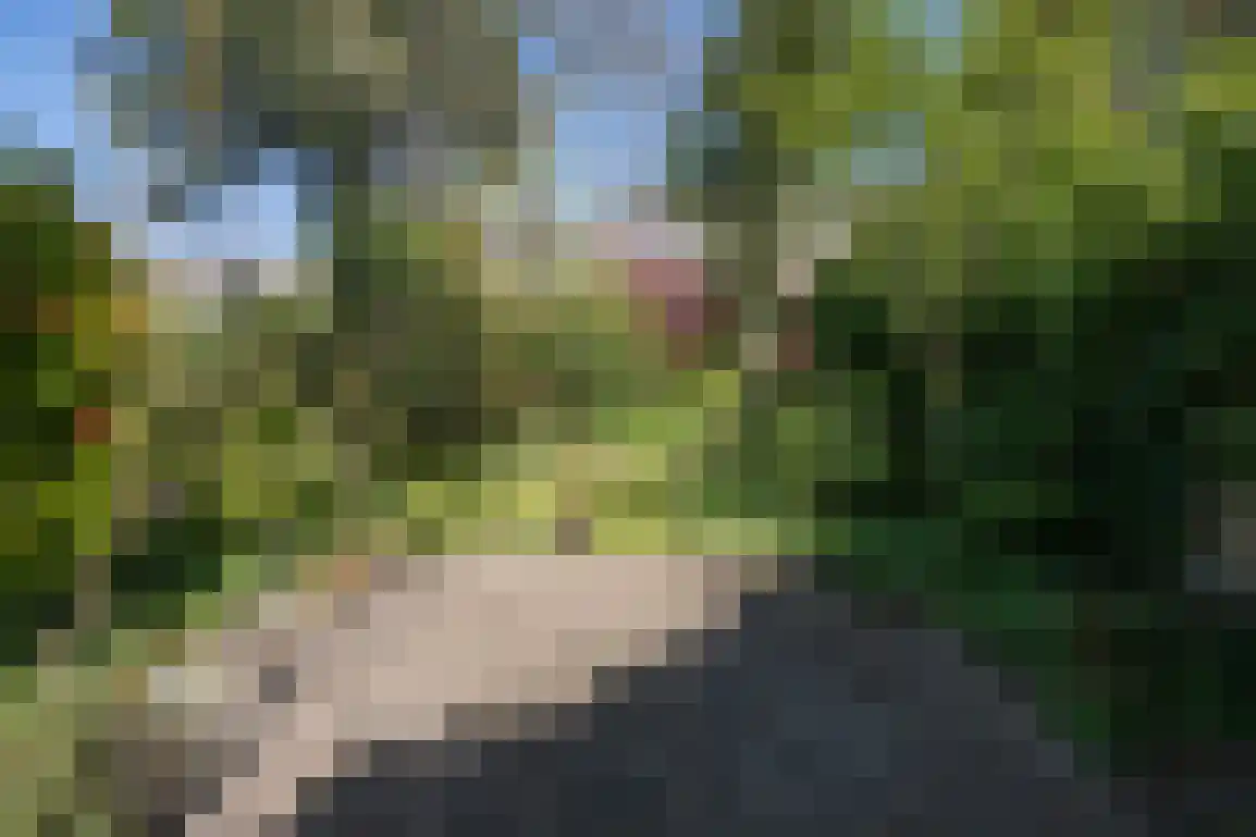 Hazersweg 22 Ouddorp thumbnail 62