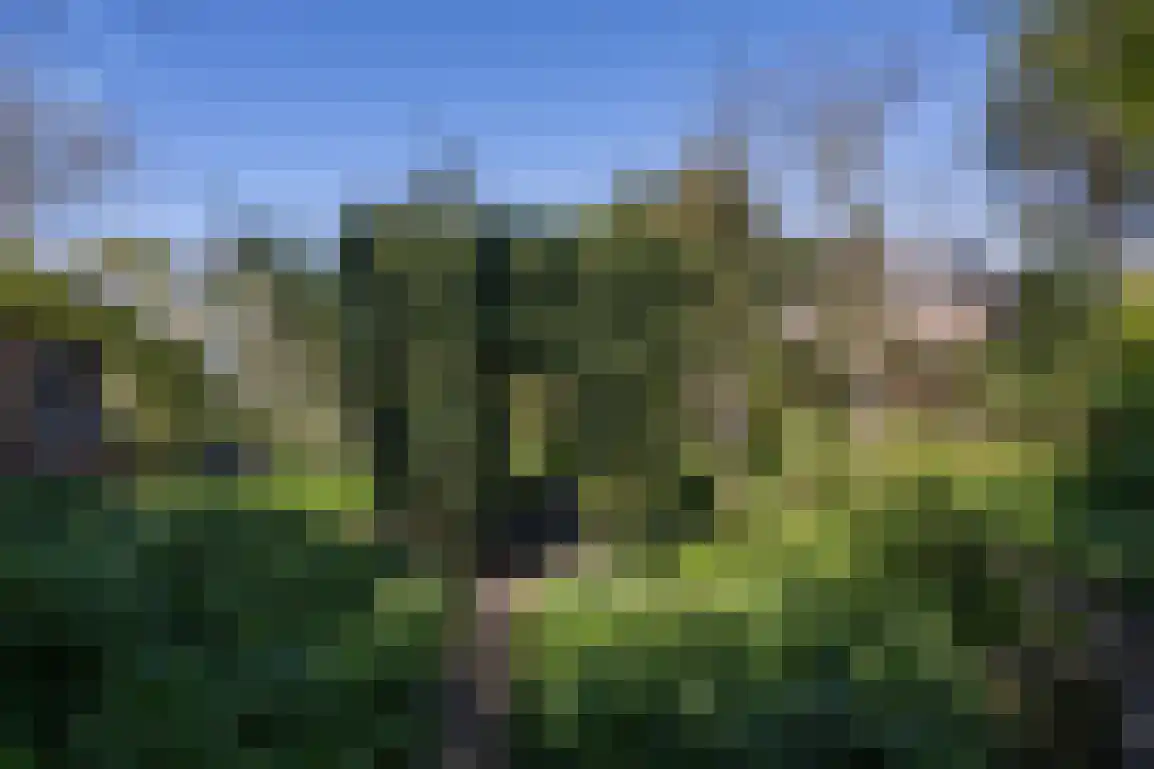 Hazersweg 22 Ouddorp thumbnail 64