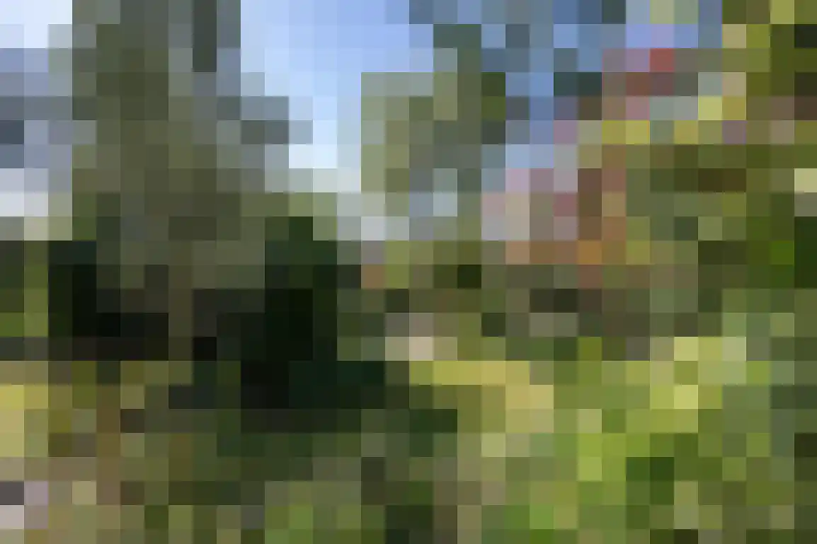 Hazersweg 22 Ouddorp thumbnail 67