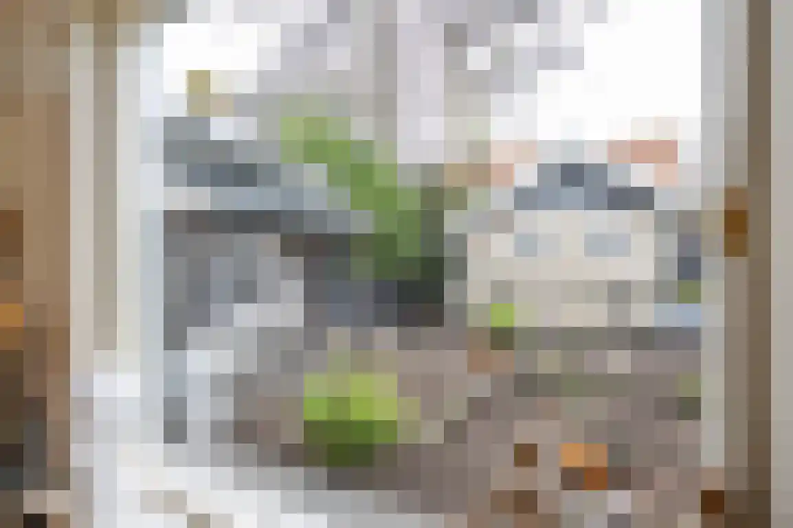 Hazersweg 22 Ouddorp thumbnail 73