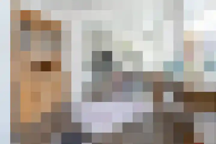 Hazersweg 5 Ouddorp thumbnail 10