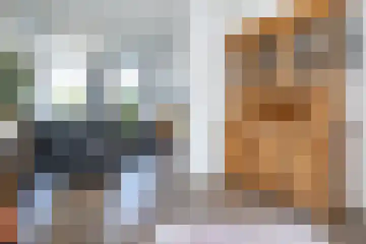 Hazersweg 5 Ouddorp thumbnail 9