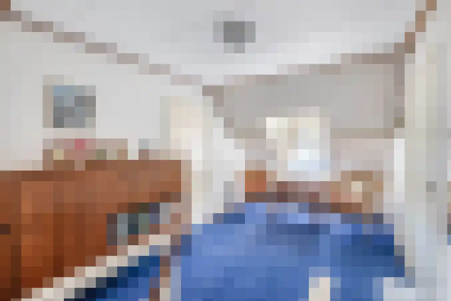 Hazersweg 6 Ouddorp thumbnail 19