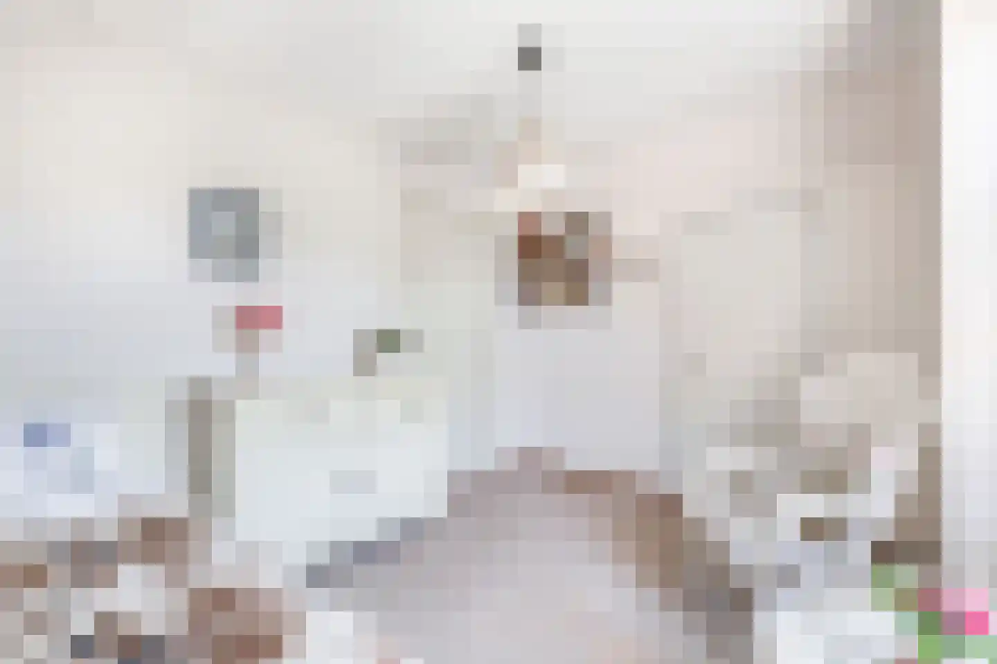 Hazersweg 6 Ouddorp thumbnail 21