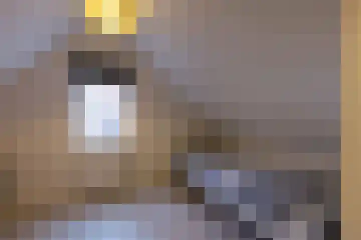 Hazersweg 9 Ouddorp thumbnail 21