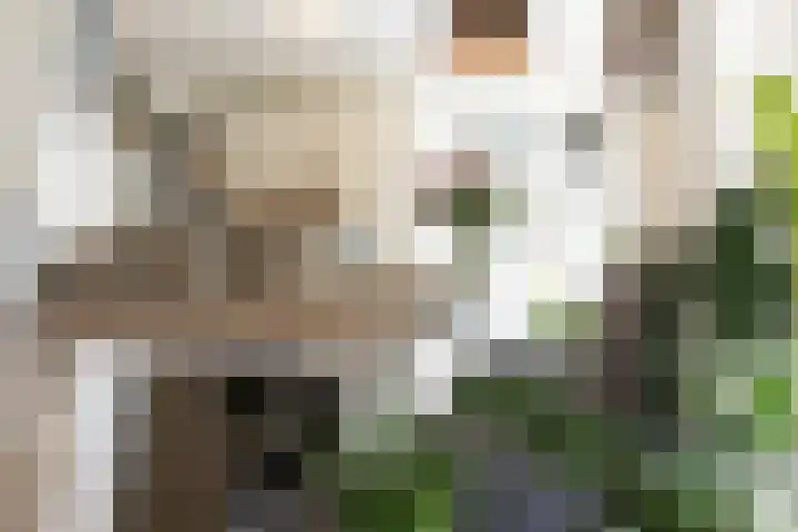Hazersweg 9 Ouddorp foto 3