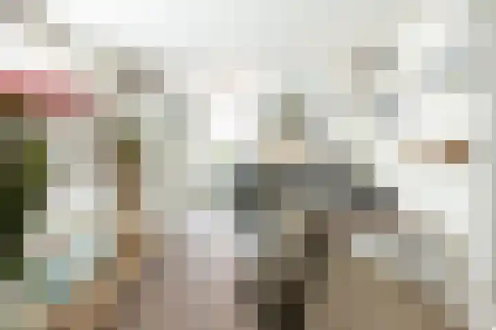 Hazersweg 9 Ouddorp thumbnail 9