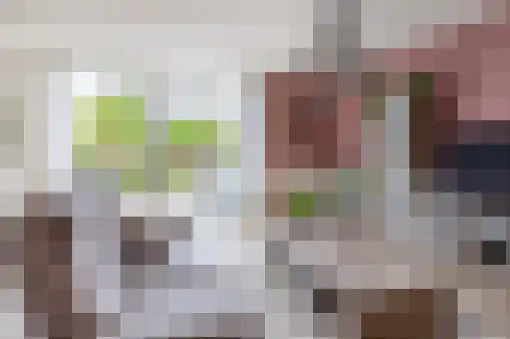 Hazerswoudestraat 111 Zoetermeer thumbnail 10