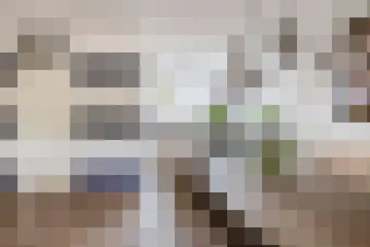 Hazerswoudestraat 111 Zoetermeer thumbnail 12