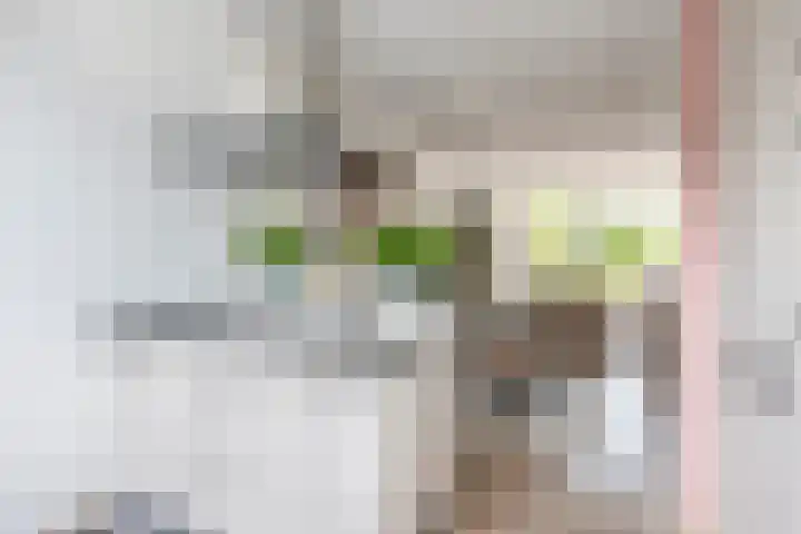 Hazerswoudestraat 111 Zoetermeer thumbnail 13