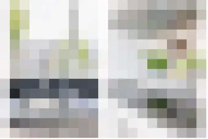 Hazerswoudestraat 111 Zoetermeer thumbnail 14