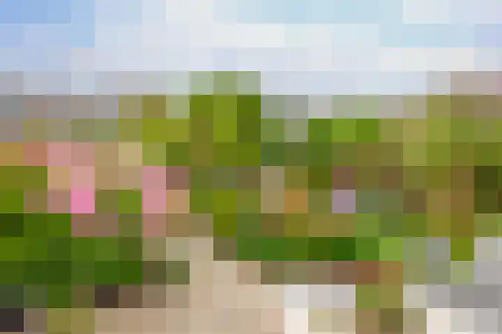 Hazerswoudestraat 111 Zoetermeer thumbnail 16