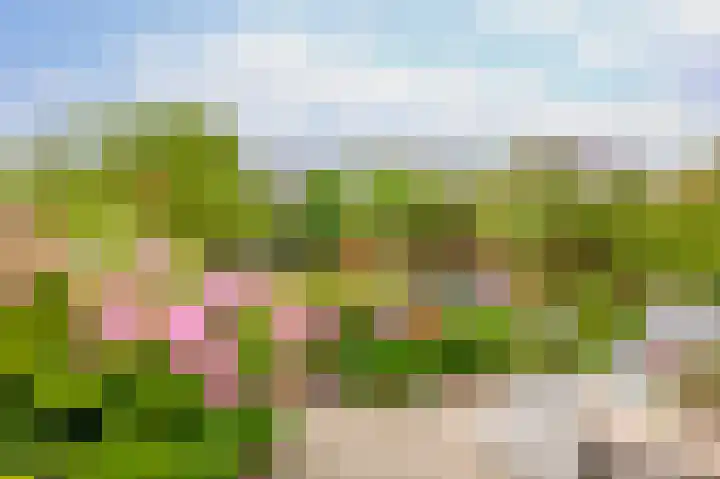 Hazerswoudestraat 111 Zoetermeer thumbnail 17