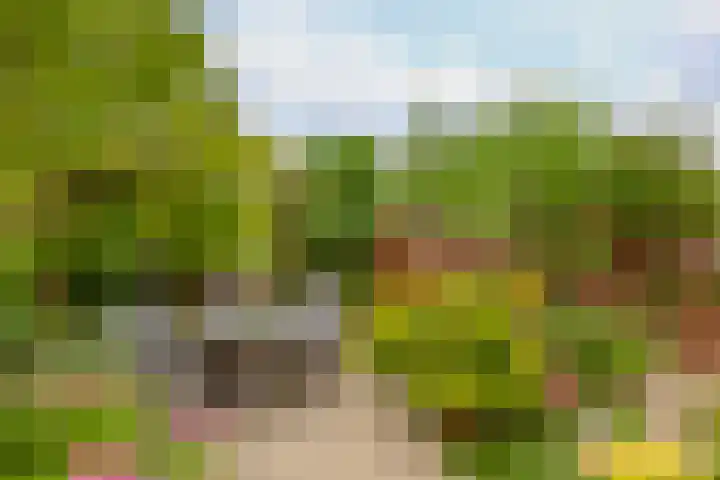 Hazerswoudestraat 111 Zoetermeer thumbnail 18