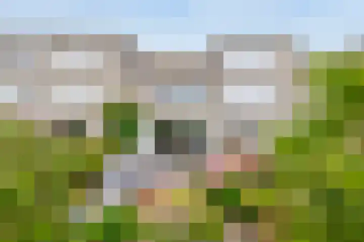 Hazerswoudestraat 111 Zoetermeer thumbnail 20