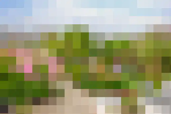 Hazerswoudestraat 111 Zoetermeer thumbnail 4