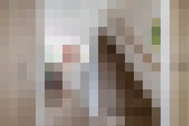 Hazerswoudestraat 111 Zoetermeer thumbnail 8