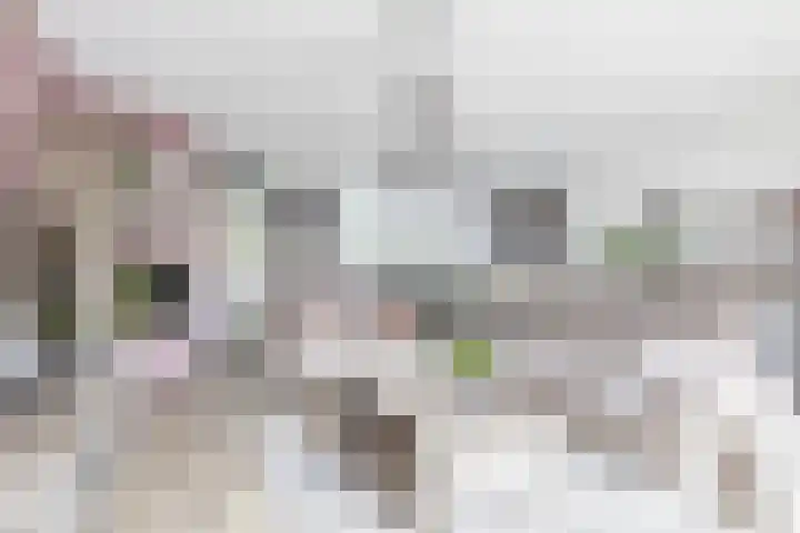 Hazerswoudestraat 111 Zoetermeer thumbnail 9