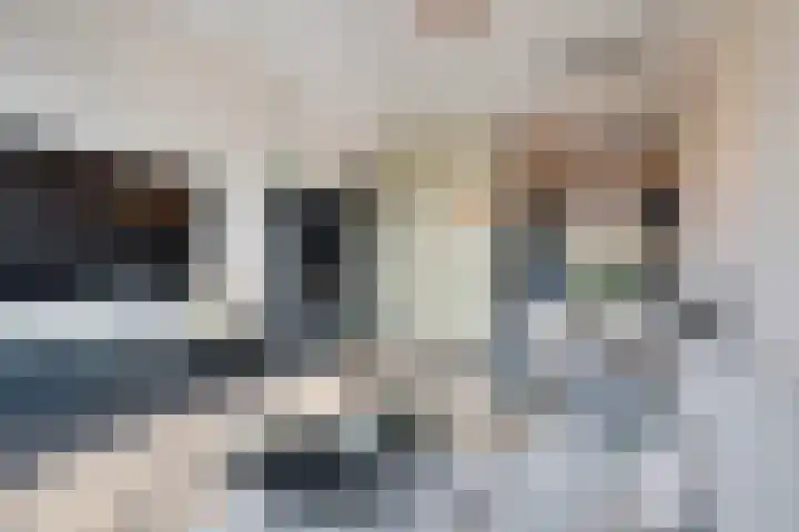 Hazerswoudestraat 316 Zoetermeer thumbnail 20