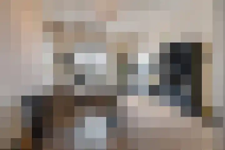 Hazerswoudestraat 316 Zoetermeer thumbnail 21