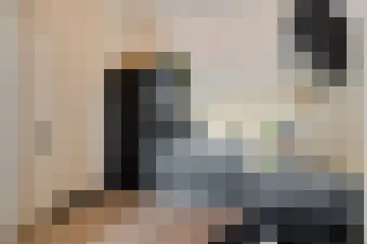 Hazerswoudestraat 316 Zoetermeer thumbnail 28