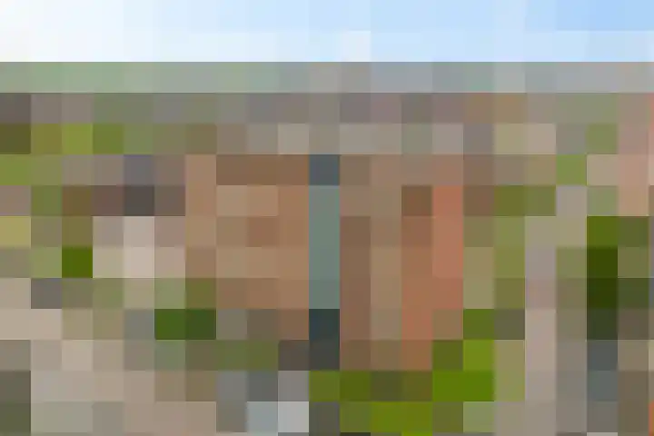 Hazerswoudestraat 316 Zoetermeer thumbnail 36