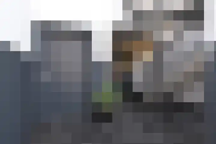 Hazerswoudestraat 332 Zoetermeer thumbnail 27